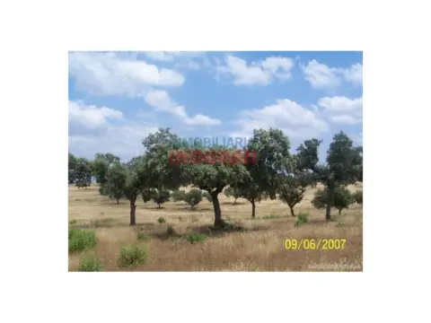 Finca rústica en Alcántara