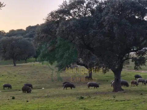 Finca rústica en Centro