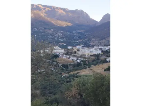 Finca rústica en Alcaucín