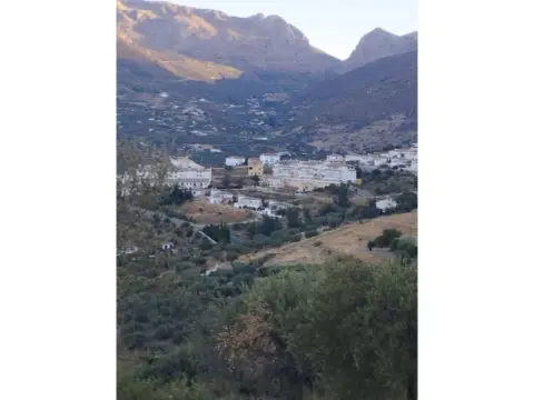 Finca rústica en Alcaucín