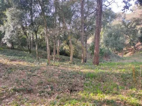 Terreno en Sant Pere de Vilamajor