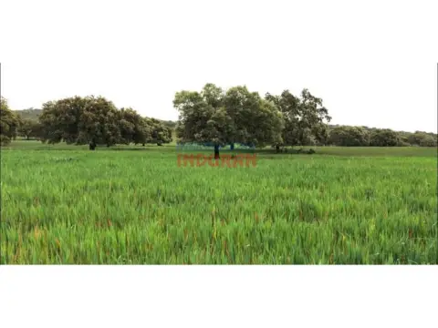 Finca rústica en Hornachos