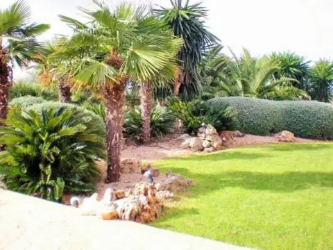 Casa rústica en Petra