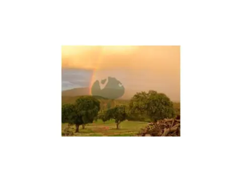 Finca rústica en Plaza de la Constitución