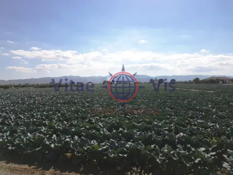 Terreno en calle Diseminados Cazalla