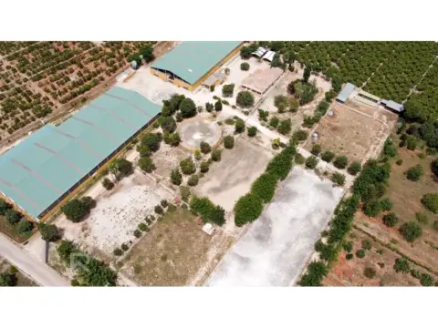 Finca rústica en calle Camí Pla de Lloret