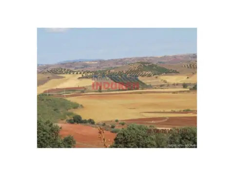Finca rústica en Almedina