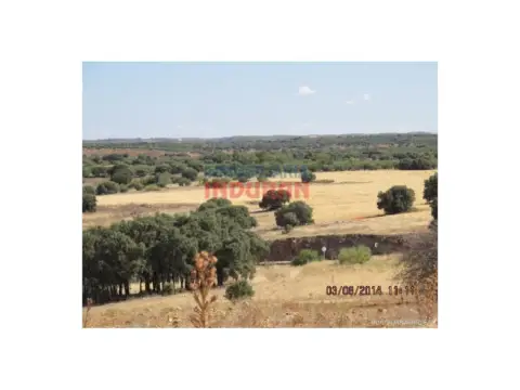 Finca rústica en Almedina
