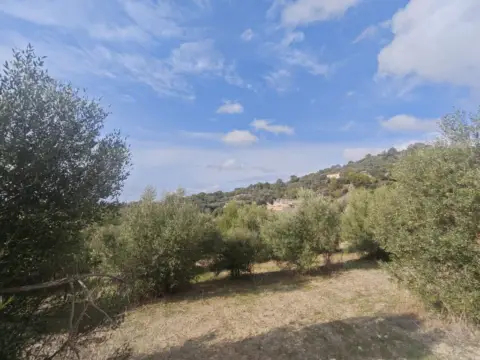 Finca rústica en Selva