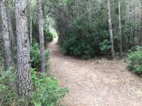 Terreno en calle Ctra de El Vendrell A Valls