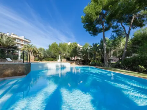 Piso en Sol de Mallorca-Portals Vells