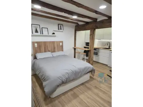 Loft en Erdialdea