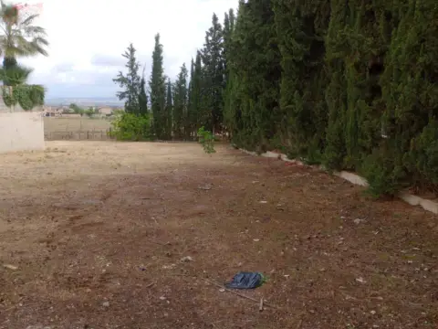 Terreno en calle calle Azucena (Vent), nº 2