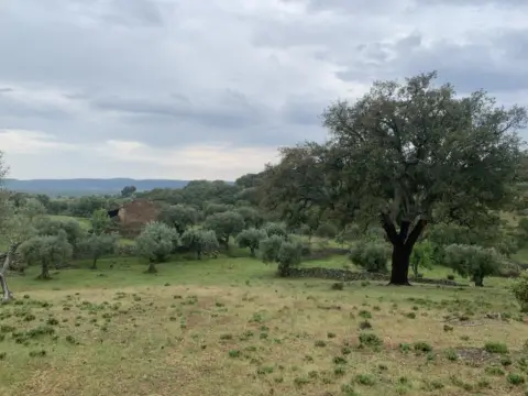 Finca rústica en San Vicente de Alcántara