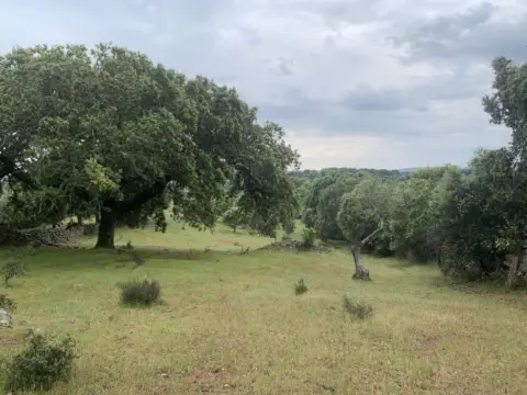 Finca rústica en San Vicente de Alcántara