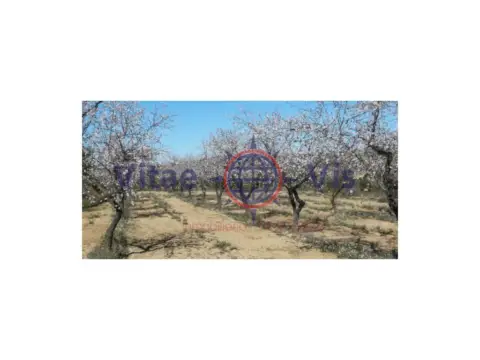 Finca rústica en Carretera de la Parroquia