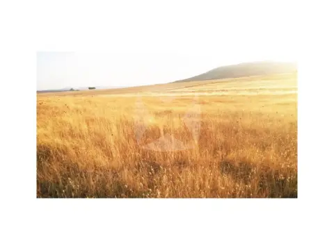 Finca rústica en Sierra de Fuentes