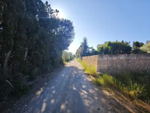 Finca rústica en Llubí