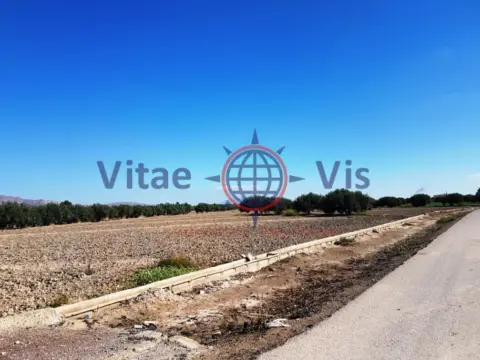 Finca rústica en calle Diseminados Camino Casa Colora