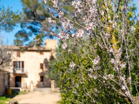 Casa rústica en Establiments