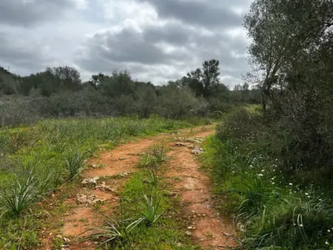 Finca rústica en Campos