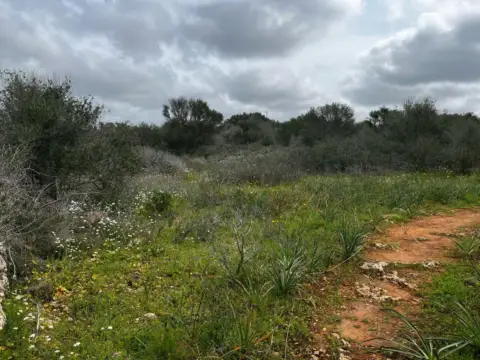 Finca rústica en Campos