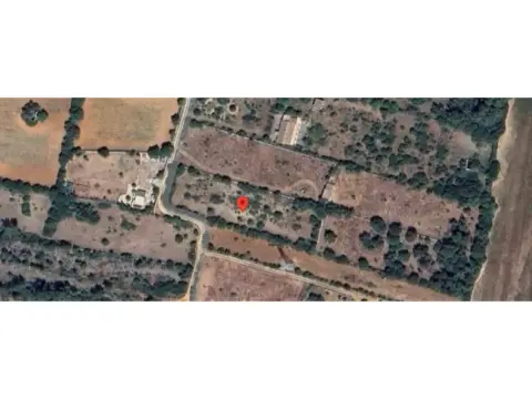 Terreno en Llubí