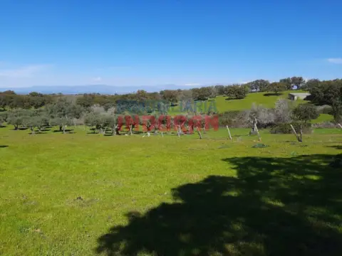 Finca rústica en Belvís de Monroy