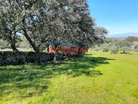 Finca rústica en Belvís de Monroy