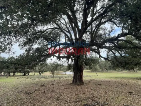 Finca rústica en Majadas