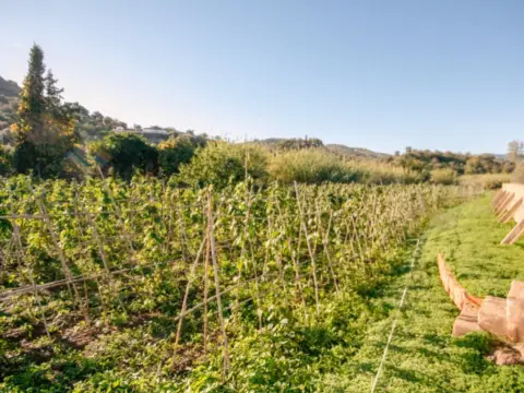 Finca rústica en Coín