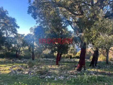 Finca rústica en Castañar de Ibor
