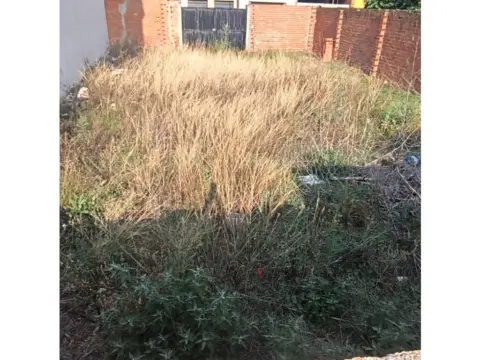 Terreno en Fuente el Saz de Jarama