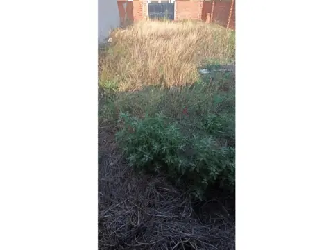 Terreno en Fuente el Saz de Jarama