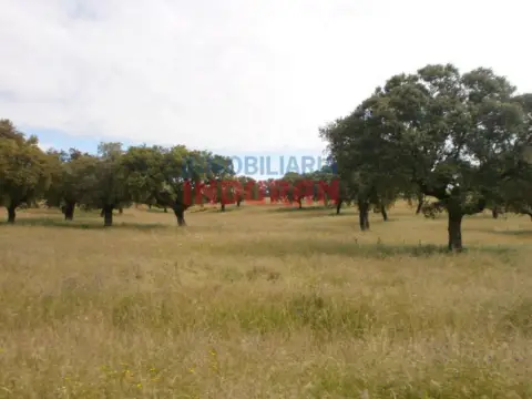 Finca rústica en Malpartida de Plasencia