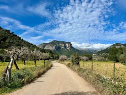 Casa en Lloseta