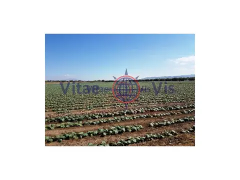 Terreno en calle Rc de Las Coles