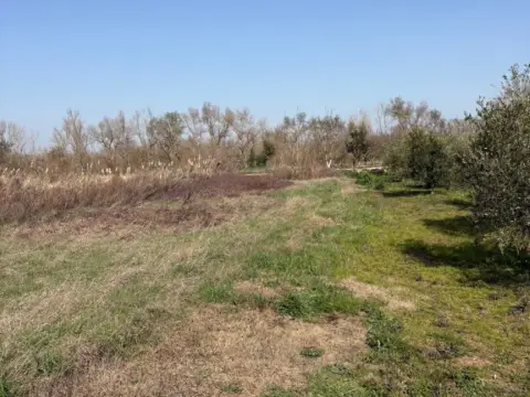 Finca rústica en Agoncillo