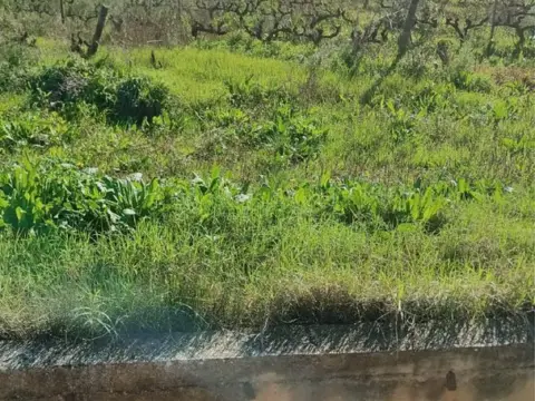 Finca rústica en Agoncillo