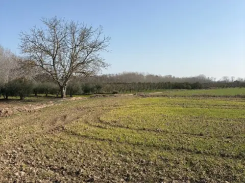 Finca rústica en Agoncillo