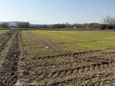 Finca rústica en Agoncillo