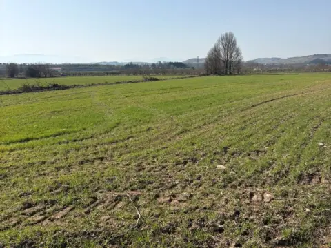 Finca rústica en Agoncillo