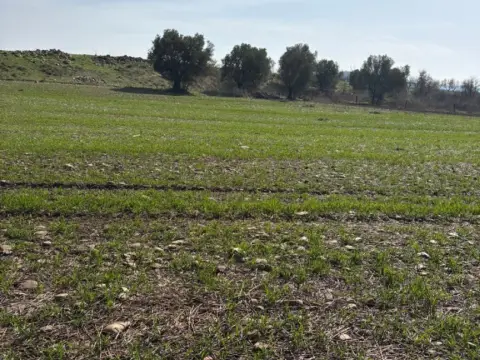 Finca rústica en Agoncillo