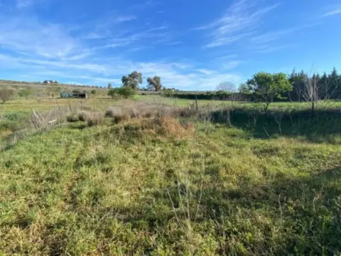 Finca rústica en Bodegones