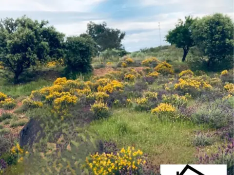 Finca rústica en Carrion