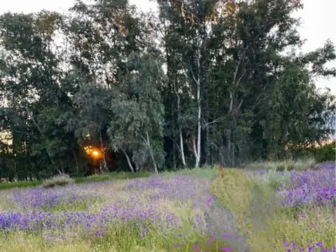 Finca rústica en Carrion