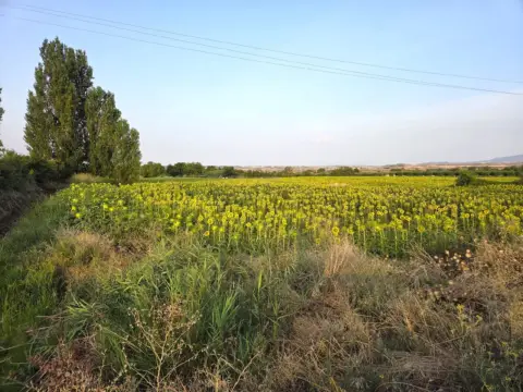 Finca rústica en Villamediana de Iregua