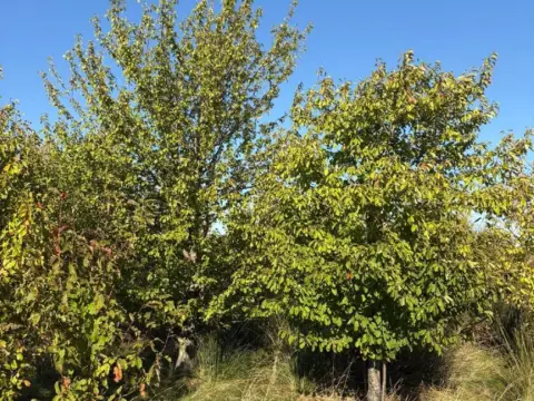 Finca rústica en Villamediana de Iregua