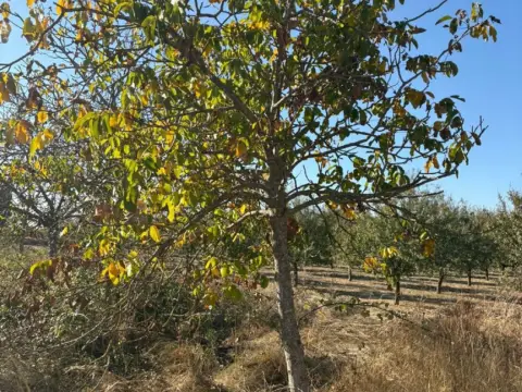 Finca rústica en Villamediana de Iregua