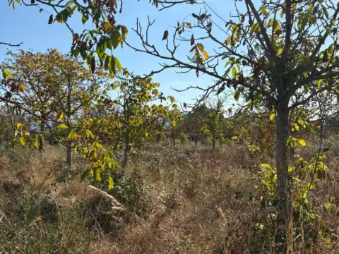 Finca rústica en Villamediana de Iregua